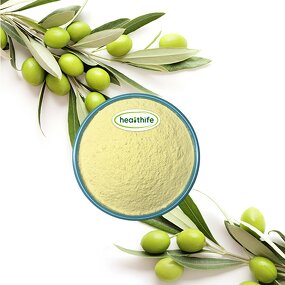 Olive Leaf Extract Factory - 70% 80% Oleuropein High Purity