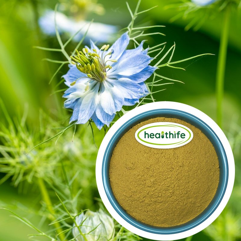 Nigella Sativa Extract Factory - 5%-20% Thymoquinone Powder