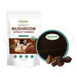 Chaga Mushroom Extract Manufacturer - 10%-50% Polysaccharides Natural