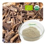 Siberian Ginseng Powder Manufacturer - Food Grade Organic Fast Delivery
