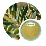 Olive Leaf Extract Manufacturer - 20% Oleuropein Powder & OEM