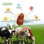 Beef Spleen Powder Manufacturer - New Zealand Grass Fed Bovine Extract