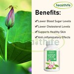 Lotus Leaf Capsule Manufacturer - 500mg/60caps Nuciferine Extract