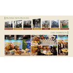 Turkey Tail Mushroom Powder - Coriolus Versicolor 80 Mesh Food Grade