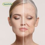 Liposomal Fisetin Powder Manufacturer - HPLC 50% Anti-Aging Supplement