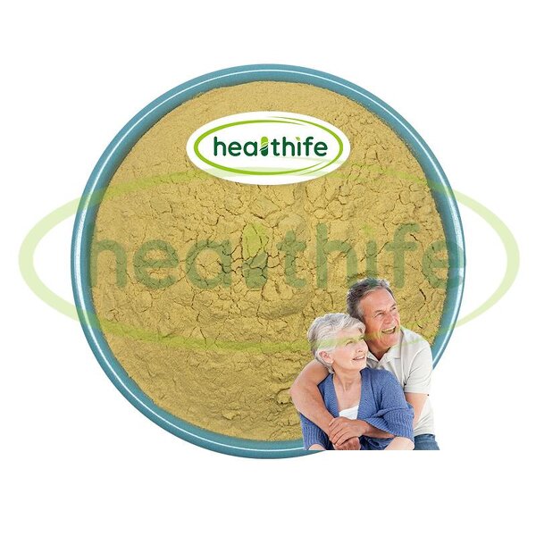 Lion's Mane Powder Manufacturer - NOP & EU Organic Hericium Erinaceus