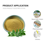 Olive Leaf Extract Manufacturer - Food Grade 10%-80% Oleuropein