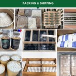 Beef Organ Capsule Manufacturer - Women's 6 in 1 Mix Grass Fed