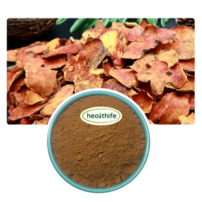 Antrodia Cinnamomea Powder Manufacturer - 100% Water Soluble Kosher Halal