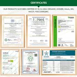 Cordyceps Extract Manufacturer - Organic 30% Polysaccharide Militaris