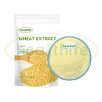 Wheat Germ Extract Powder Manufacturer - 0.2% Spermidine & Factory Direct