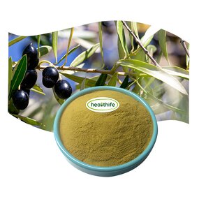Olive Leaf Extract Manufacturer - Food Grade 10%-80% Oleuropein