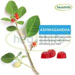 Ashwagandha Gummies Manufacturer - OEM Mixed Berry Vitamin D3