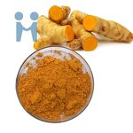 Turmeric Curcumin Powder - Factory Price Bulk Natural Curcuma Extract