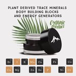 Shilajit Resin - Pure Himalayan 85% Fulvic Acid Trace Minerals Energy Support