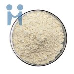 Lactobacillus Plantarum Powder - Factory Supply Probiotic Supplement Price