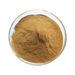 L-Theanine Powder - Natural Food Grade 99% Green Tea Extract Supplement