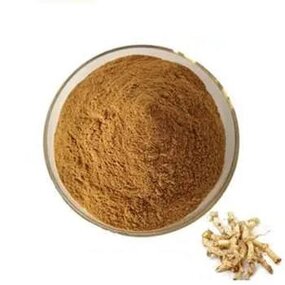 Rhizoma Polygonati Extract - Pure Chinese Huang Jing Herbal Supplement