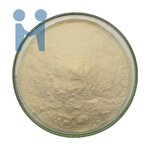 Lactobacillus Fermentium Powder - Hot Sale Probiotic Supplement