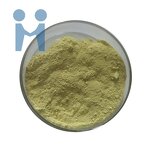 Fisetin Powder - High Quality Bulk Rhus Succedanea L Extract 98% 99%