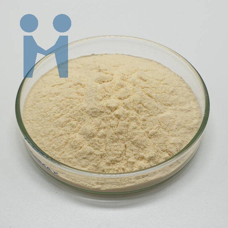 Lactobacillus Rhamnosus GG - Good Quality Supply Probiotics Powder Supplement