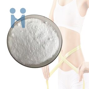 Acetyl L-carnitine Powder - Weight Loss Food Supplement ALCAR Raw Material