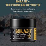 Himalayan Shilajit Resin - Wholesale Bulk Pure Natural Extract 30g Custom