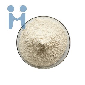 Lactobacillus Plantarum Powder - Food Grade 10 Billion Cfu/g Probiotics