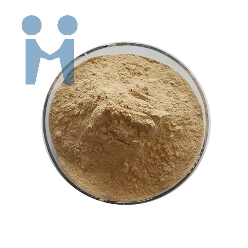 L-Theanine Powder - Natural Food Grade 99% Green Tea Extract Supplement