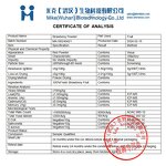 Strawberry Fruit Powder - Wholesale Juice Concentrate Natural Fruit Extract