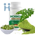 Moringa Leaf Powder - Superfood Custom Private Label Organic Extract