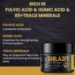 Himalayan Shilajit Resin - Wholesale Bulk Pure Natural Extract 30g Custom