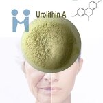 Urolithin a Powder - Factory Direct Bulk Price CAS NO 1143-70-0 Supplement