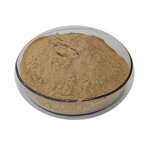 Ginsenoside Powder - Suppliers 80% 20s Rg1 Rg2 Rg3 98% Rh2 Rb1 Re Extract