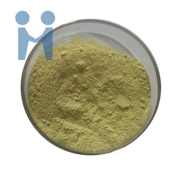 Fisetin Powder - High Quality Bulk Rhus Succedanea L Extract 98% 99%