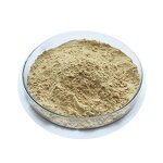 Ginsenoside Powder - Suppliers 80% 20s Rg1 Rg2 Rg3 98% Rh2 Rb1 Re Extract