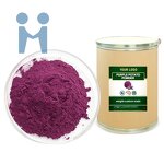 Purple Sweet Potato Powder - Organic Free Sample Freeze Dried Bulk Good Flavor