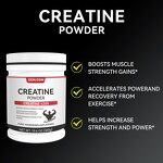 Creatine Monohydrate Powder Manufacturer - Micronized High Quality