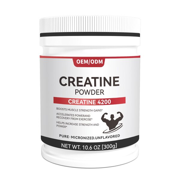 Creatine Monohydrate Powder Manufacturer - Micronized High Quality