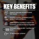 Whey Protein Powder Manufacturer - Gold Standard Sports Nutrition & OEM Custom