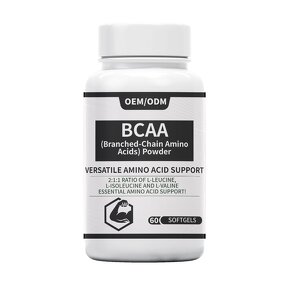 BCAA Powder Manufacturer - Instant for Muscle Recovery & Energy Boost & OEM/ODM