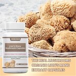 Lion's Mane Capsule Manufacturer - Organic Extract Dietary Herbal Supplement & OEM
