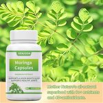 Moringa Capsules Manufacturer - Natural Organic Energy-Boosting Powder & OEM/ODM