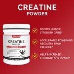Creatine Monohydrate Powder Manufacturer - Pure for Muscle Growth & OEM Custom