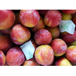 Ethephon Manufacturer - 20% GR Plant Growth Regulator for Fruit Ripening