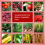 DA-6 Powder Factory - Diethyl Aminoethyl Hexanoate 98% TC Plant Regulator