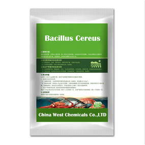 Aquaculture Probiotics Manufacturer - Bacillus Cereus 20 Billion CFU/G Feed Additive