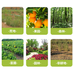 Etoxazole Manufacturer - 97% TC 110g/L SC 20% WDG CAS 153233-91-1