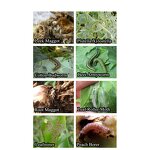 Abamectin Hexaflumuron Manufacturer - 2.5% EC for Cabbage Pesticide