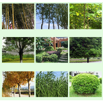 Herbicide Manufacturer - Hexazinone 5% Gr for Root Rot